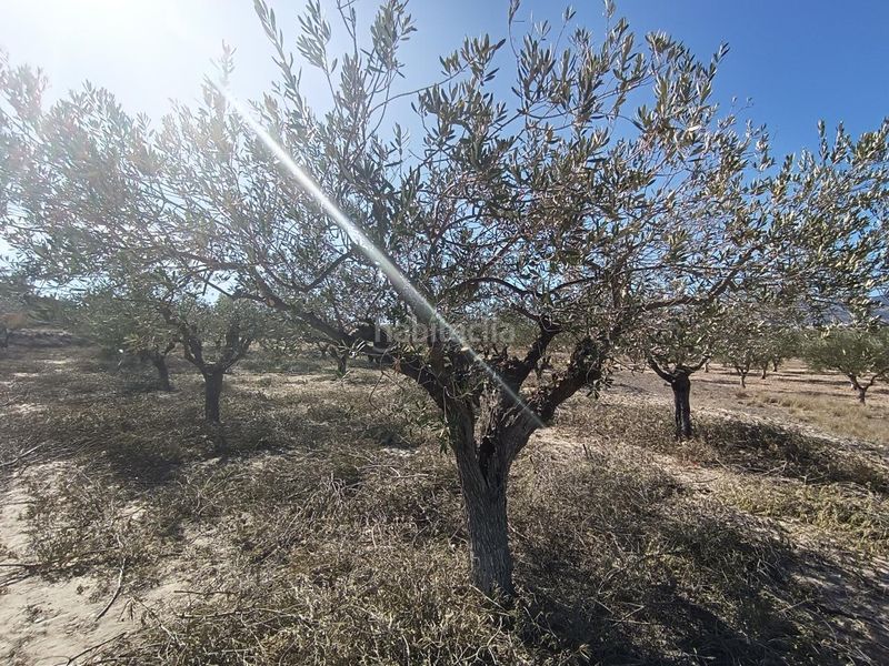 Foto a39ac377-5bd2-452b-8251-b746511dc4bb. Finca rústica ocasion venta terreno rustico edificable en Castalla