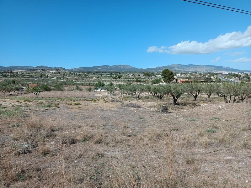 Foto bcc8290f-b113-4c76-83c5-0c09b6a5e3c2. Finca rústica ocasion venta terreno rustico edificable en Castalla