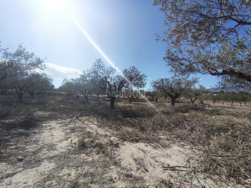 Foto bd52bf39-4e61-45ad-90d3-0daaac093527. Finca rústica ocasion venta terreno rustico edificable en Castalla