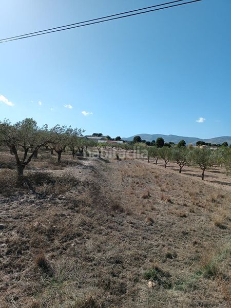 Foto cd008471-cb26-4d6a-8e42-99b3817aeccd. Finca rústica ocasion venta terreno rustico edificable en Castalla