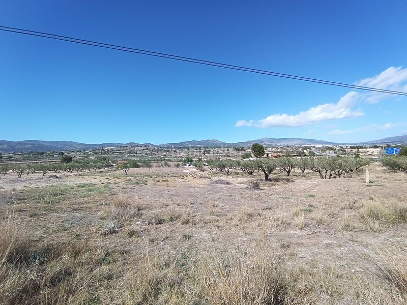 Foto e7c84992-45e6-4f88-91c6-a41d2c5297a6. Finca rústica ocasion venta terreno rustico edificable en Castalla