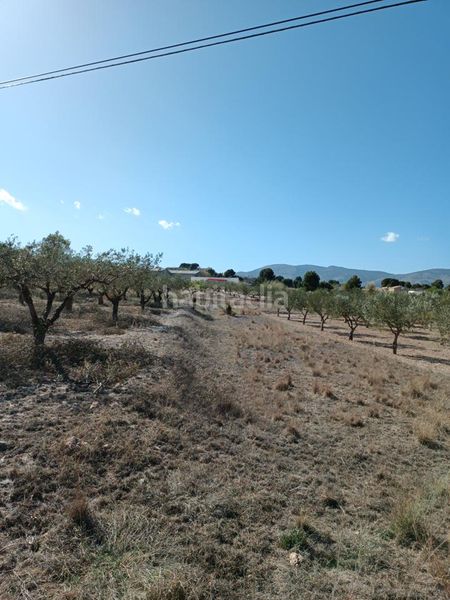 Foto e96e5b4e-ae77-42ed-be5e-a3f562b15b27. Finca rústica ocasion venta terreno rustico edificable en Castalla