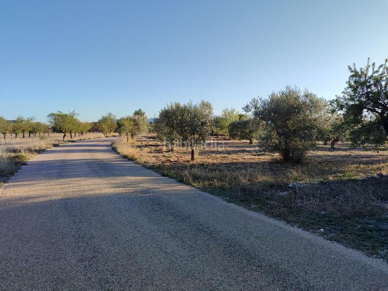 Foto 62bc76ac-6402-412b-bfc2-ae28dcc10dd9. Masía super oportunidad casa campo rustica con pozo agua en Onil