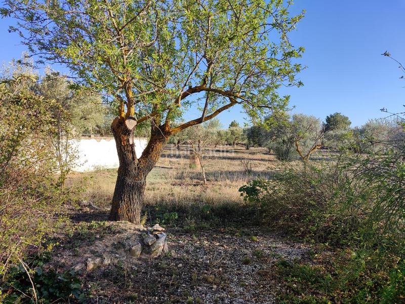 Foto d2612b82-744e-4fef-a60f-b8c5d11b2075. Masía super oportunidad casa campo rustica con pozo agua en Onil