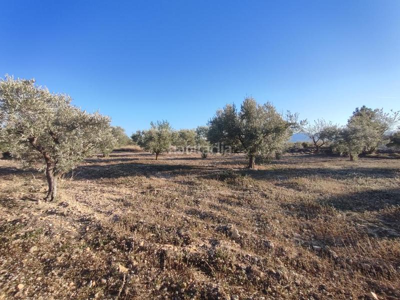 Foto d363011d-f3f0-44ee-ba90-1644df92f1f4. Masía super oportunidad casa campo rustica con pozo agua en Onil