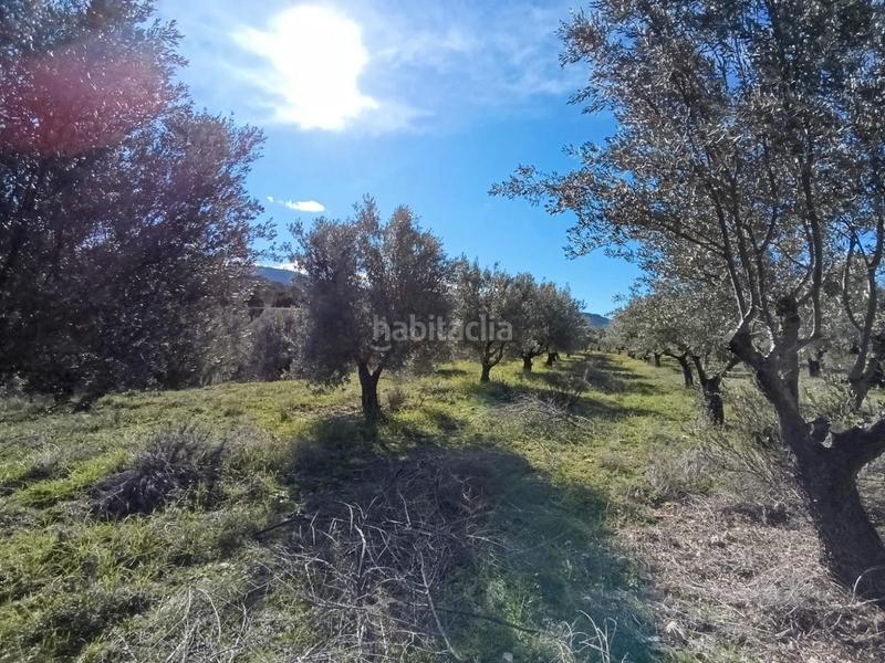 Foto 3e3ce4bd-360c-494e-8b20-23a56b805875. Mas dans Batoi Alcoi
