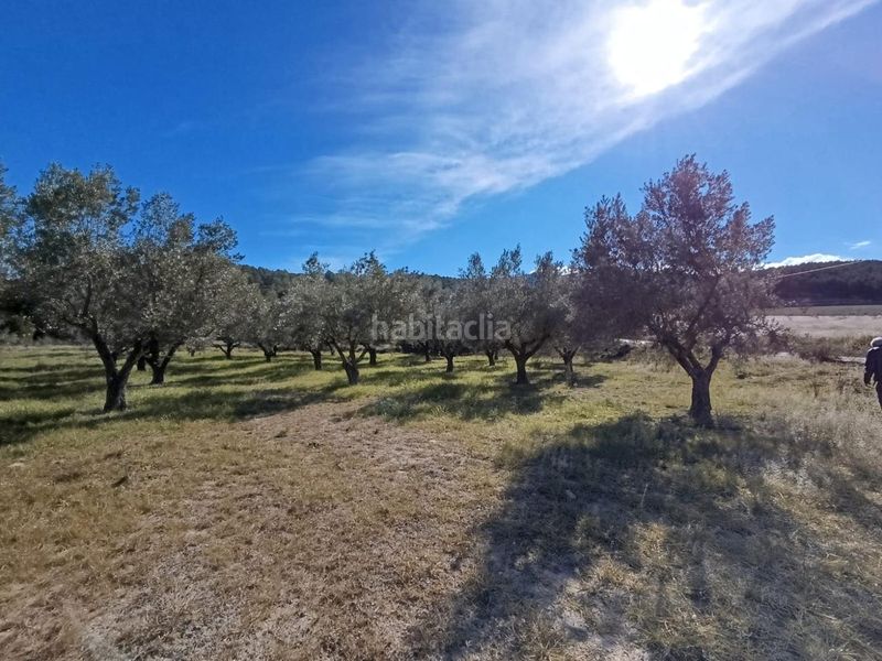 Foto 06b71e6e-f283-4102-bfd1-3e97b81c103a. Masia a Batoi Alcoi