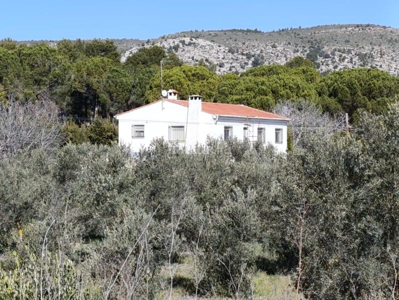 Foto 1c8e56a9-d025-4e49-831a-194ef60c5bf6. Masia a Batoi Alcoi