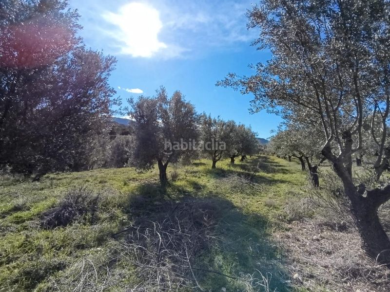 Foto 3e3ce4bd-360c-494e-8b20-23a56b805875. Masia a Batoi Alcoi