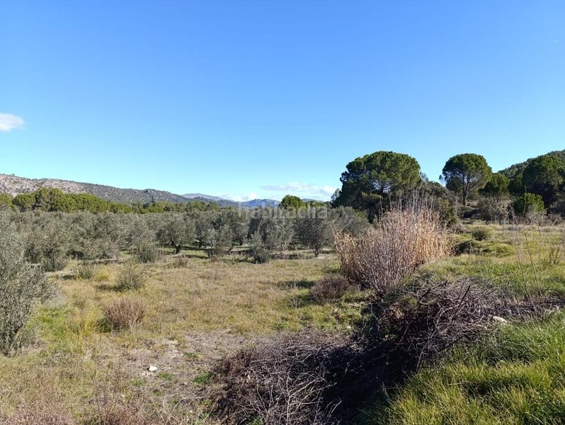Foto 5403271c-8acf-4335-be64-5d17b18cdade. Masia a Batoi Alcoi