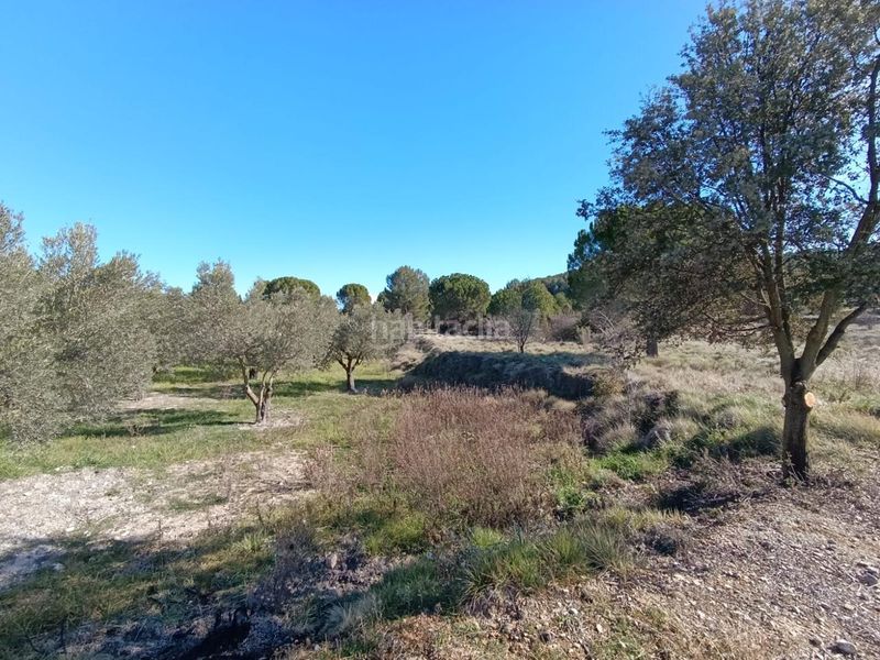 Foto 6e0e8db5-0ceb-4005-9348-f610815dc12e. Masia a Batoi Alcoi