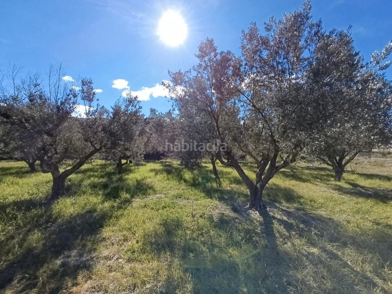 Foto a20f0c91-1faf-4385-a590-192ab578fd4b. Masia a Batoi Alcoi