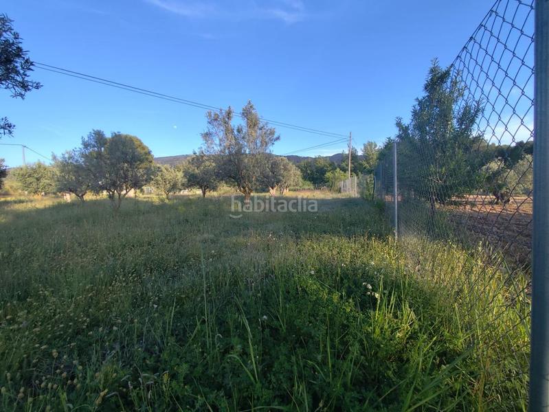 Foto 1d5b4a86-2a9c-4876-930c-b0cd1eeca23e. Terrain résidentiel dans Ibi