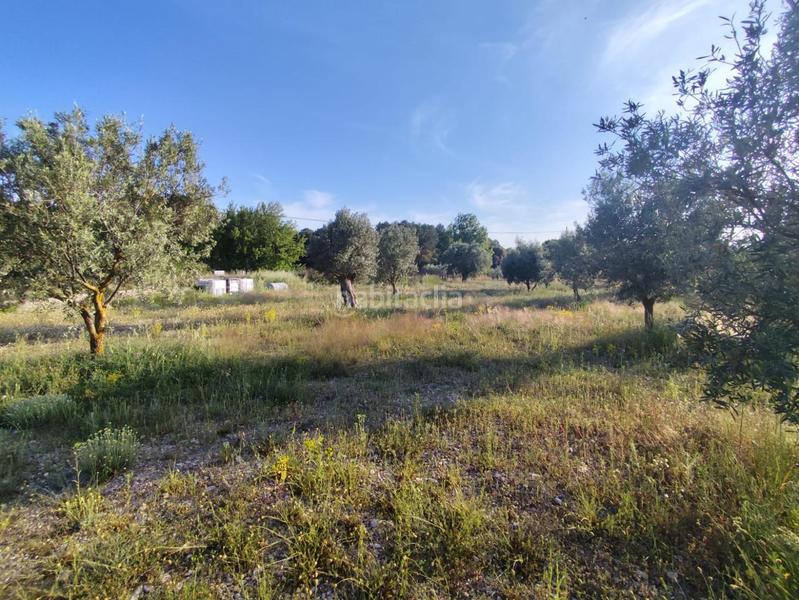 Foto 6ca8883d-f32f-4a72-b4ce-235b72751873. Terrain résidentiel dans Ibi