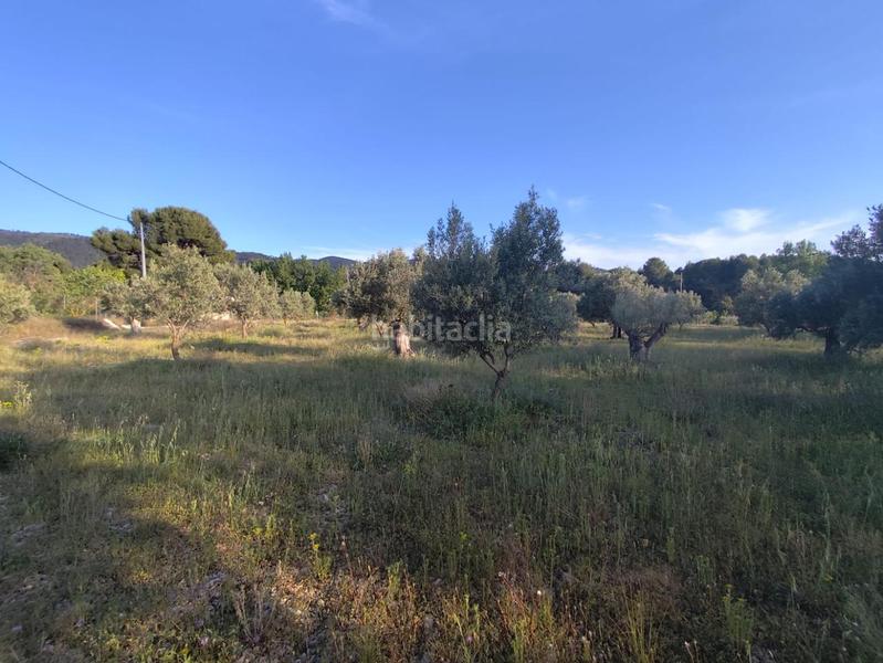 Foto 81f41832-97ac-4150-bd55-fd7b86e0b4a9. Terrain résidentiel dans Ibi