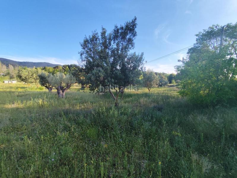 Foto b4073979-c455-484d-9466-7ba16522d048. Terrain résidentiel dans Ibi
