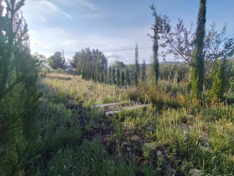 Foto c466a109-a51d-4c95-9f22-b548a1a34a9a. Terrain résidentiel dans Ibi