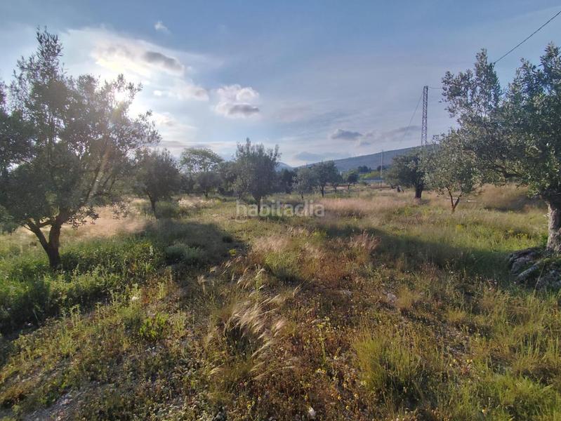 Foto dc2f41b3-75b2-4f79-b3ce-c56729c00c05. Terrain résidentiel dans Ibi