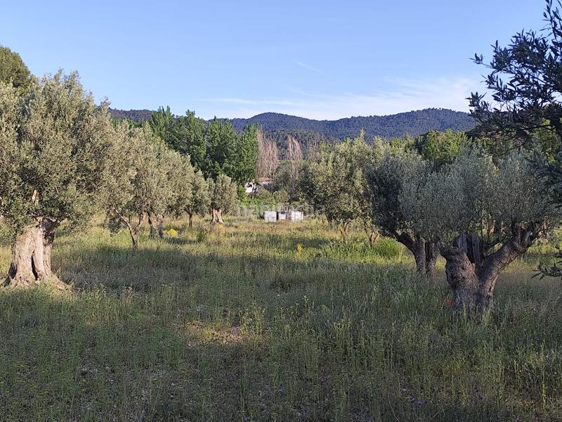 Foto e585779e-e860-4338-af70-0e4cd824856b. Terrain résidentiel dans Ibi
