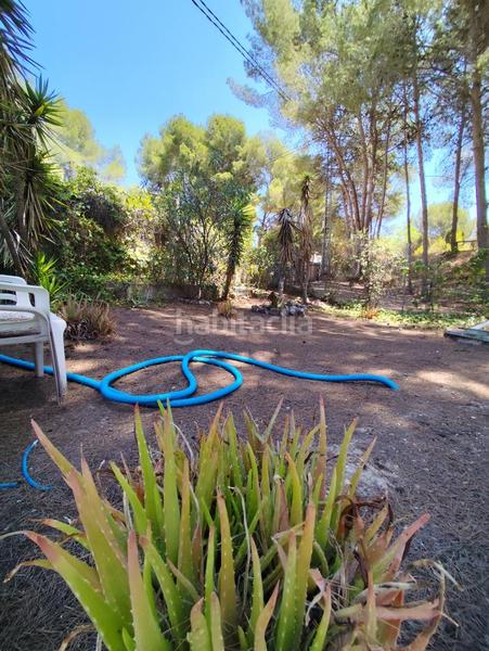 Foto e6aa857d-6041-4946-93e4-50138bce6768. Bauernhof mit pool in Tibi