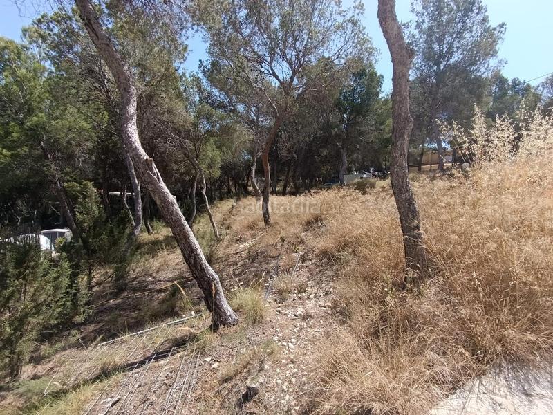 Foto 068567a0-cf1e-4755-a475-af168d65c669. Terrain résidentiel dans Tibi