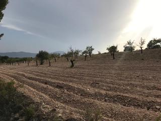 Terreny residencial a Onil. Venta terreno en ibi paraje natural edificable