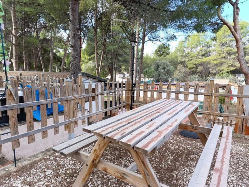 Foto f86d18d2-48f2-41b2-9d74-883f183f1395. Mas dans Tibi