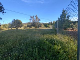 Rent Residential Plot in Ibi. Alquiler y venta ocasión fabuloso terreno cerca de ibi