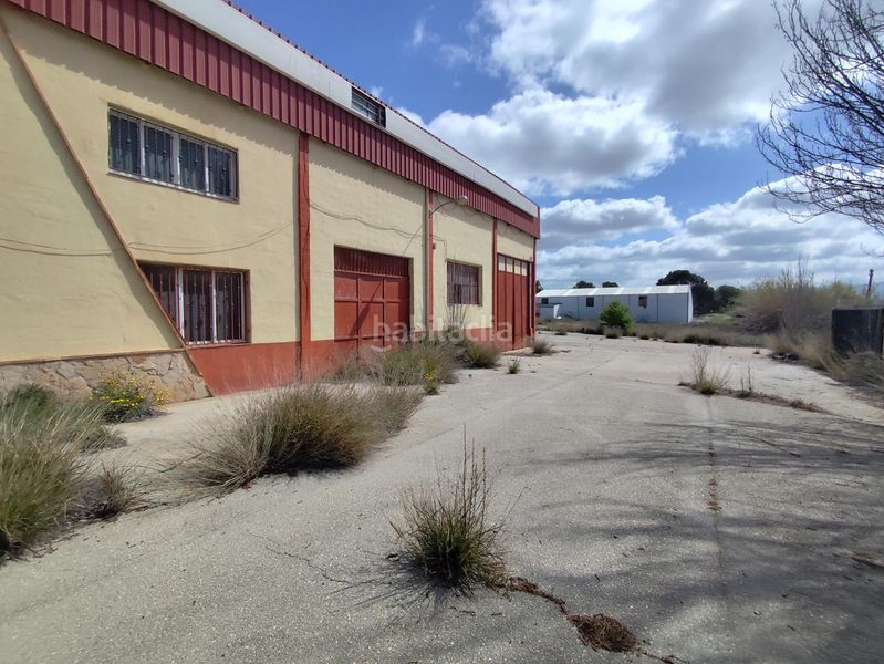Foto bd8cad66-0857-46a8-adbe-1988b4928369. Location bâtiment à usage industriel dans Castalla