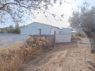 Maison à Onil. Vende casa campo onil con 10.000m agua y luz