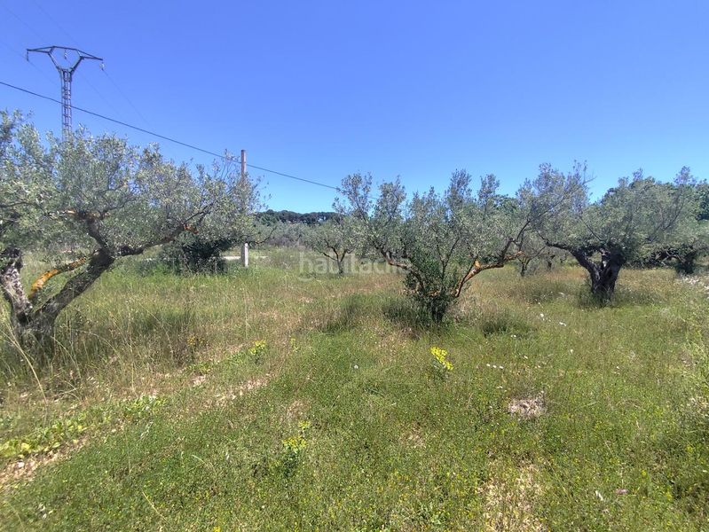 Foto 4395b7e6-9514-4571-9cb8-6ca5c1642697. Casa amb aparcament piscina a Onil