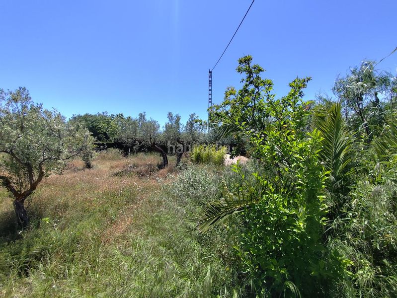 Foto 6be723ed-09b8-49bd-8a43-3151feef13eb. Casa amb aparcament piscina a Onil