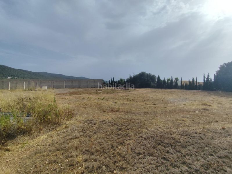 Foto 00b6274e-3423-4d41-b87b-d9ca04237f4f. Finca rústica a Ibi