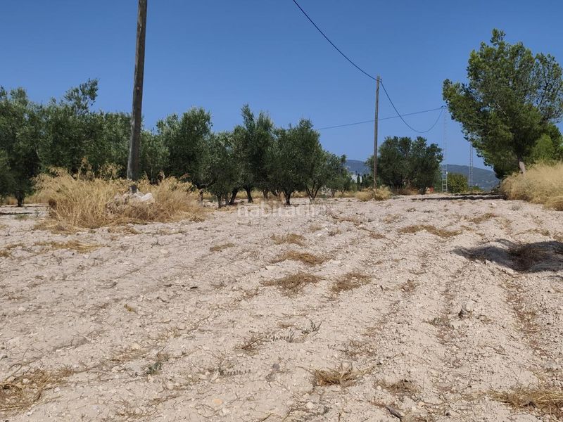 Foto 0a98ffad-73f7-4db4-89a0-ce8e68133cbc. Finca rústica a Castalla