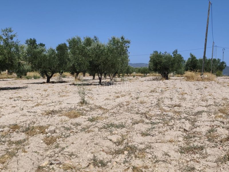 Foto a348af27-e43f-4d4b-90dd-1521d2647636. Finca rústica a Castalla