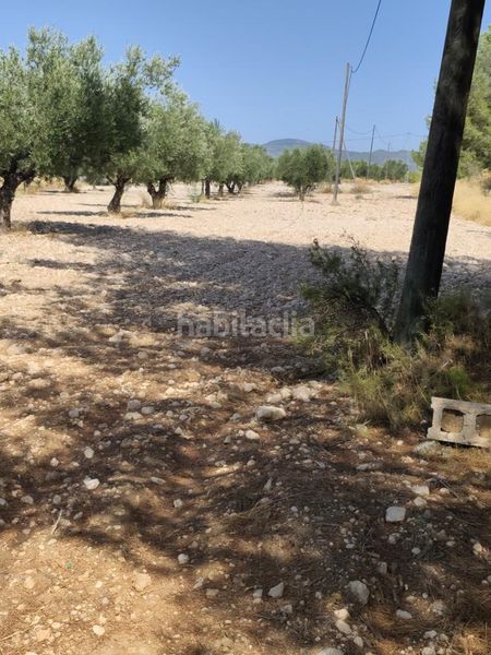 Foto a4dcb3fc-fa27-46d6-9822-8441dbb09e6b. Finca rústica a Castalla