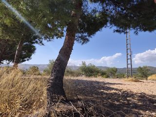 Landgut in Castalla. Terreno edificable en castalla construye tu hogar