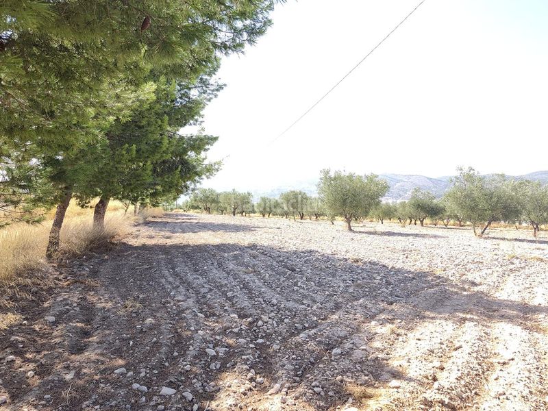Foto cdf1e883-8150-45c5-8b98-12d1e9b4cc15. Finca rústica a Castalla