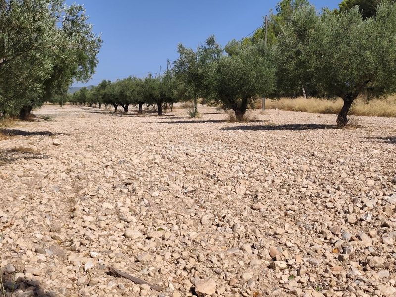 Foto d6f04ec1-98cf-451d-98c9-d9fd741e3232. Finca rústica a Castalla