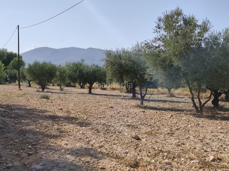 Foto f25b239e-b7d6-4682-89c6-e15e4379f9a4. Finca rústica a Castalla