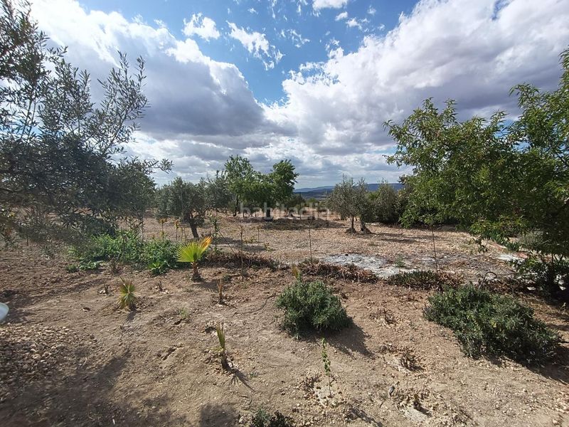 Foto 6f0a7901-f080-480a-9a7c-546b0a77957f. Casa amb aparcament a Biar