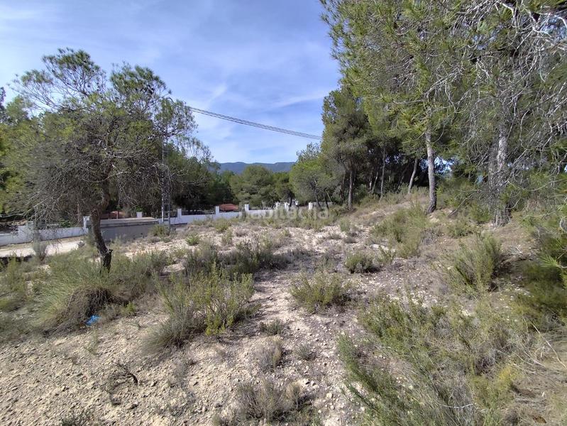 Foto 2f0a3f92-2277-4b1f-98f2-6938588720fa. Residential plot in Tibi