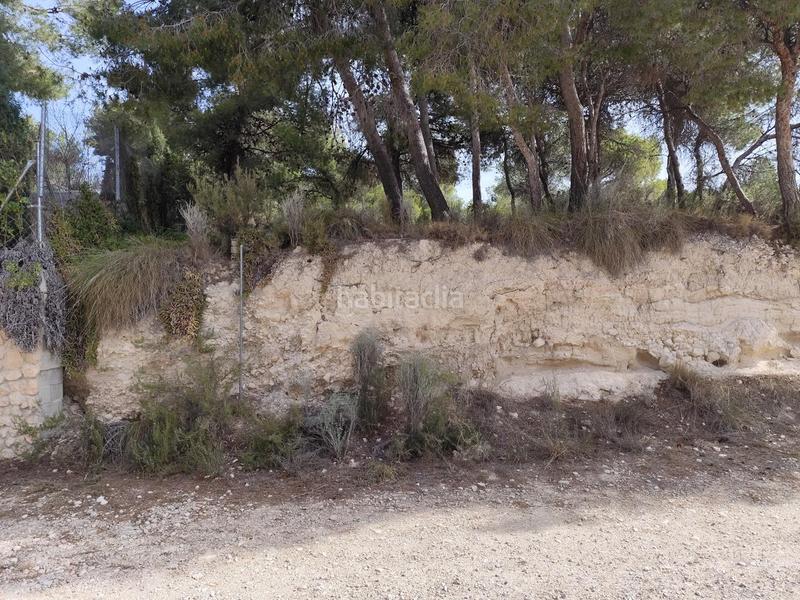 Foto 34f23dcc-dabb-4eda-8b3b-45603fd2b1d8. Residential plot in Tibi