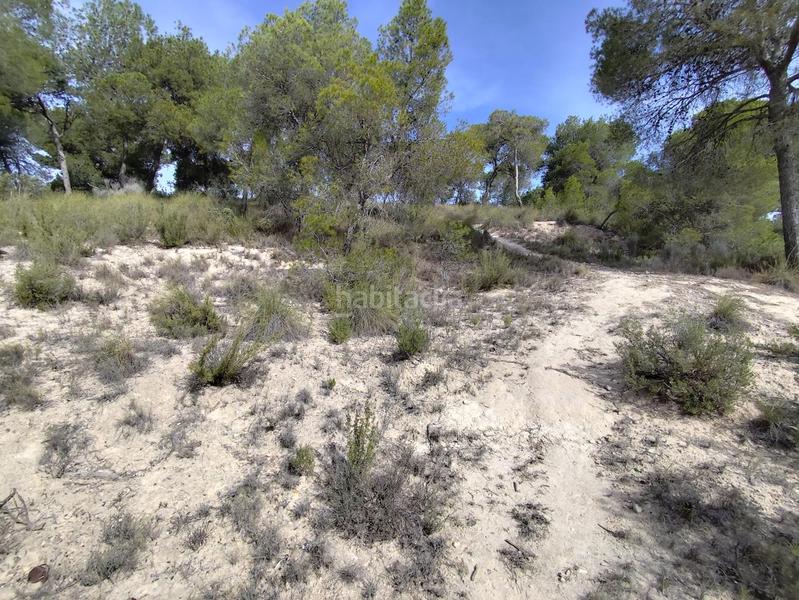 Foto 91f1754d-b0d9-4b45-9ac7-204e564160bd. Residential plot in Tibi