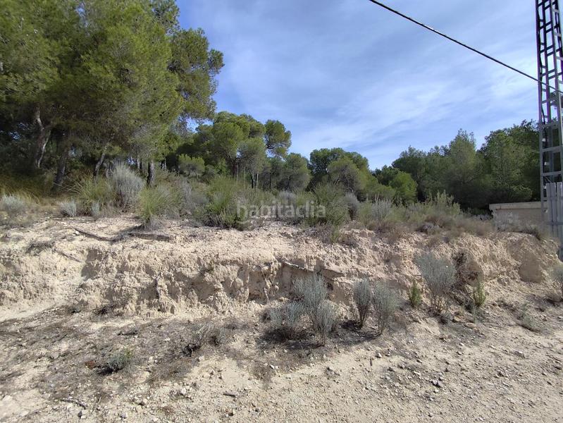 Foto c76fd79b-f65f-4e45-9636-5e3ac874a3c7. Residential plot in Tibi