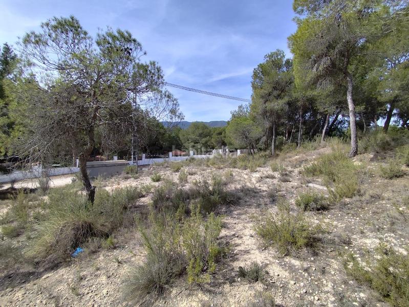 Foto e1c2cf5e-e989-43da-b5f0-215b034472d0. Residential plot in Tibi