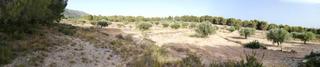 Terreny residencial a Onil. Super ocasion venta terreno en onil dos parcelas edificables