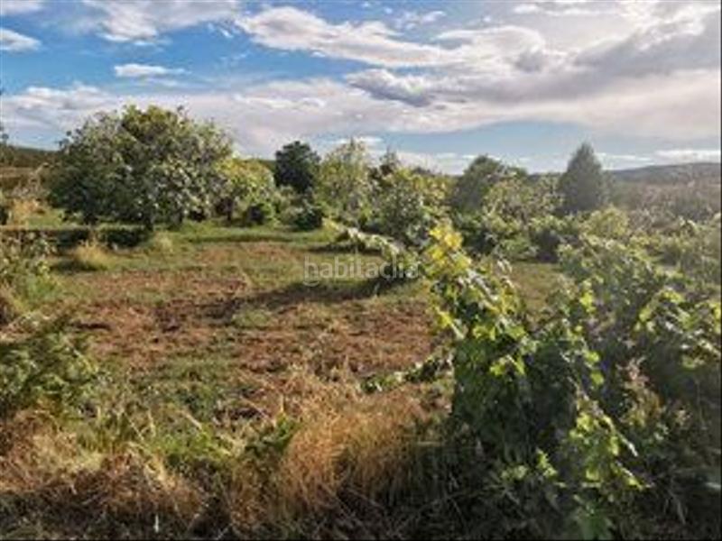 Foto 56111d50-00b0-4155-aff6-17b4e3ea5fb9. Rural plot in Jarandilla de la Vera