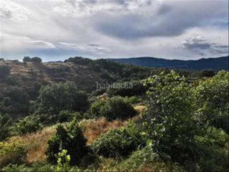 Foto 5b33817b-ad5c-4844-a7e6-450a93664726. Rural plot in Jarandilla de la Vera