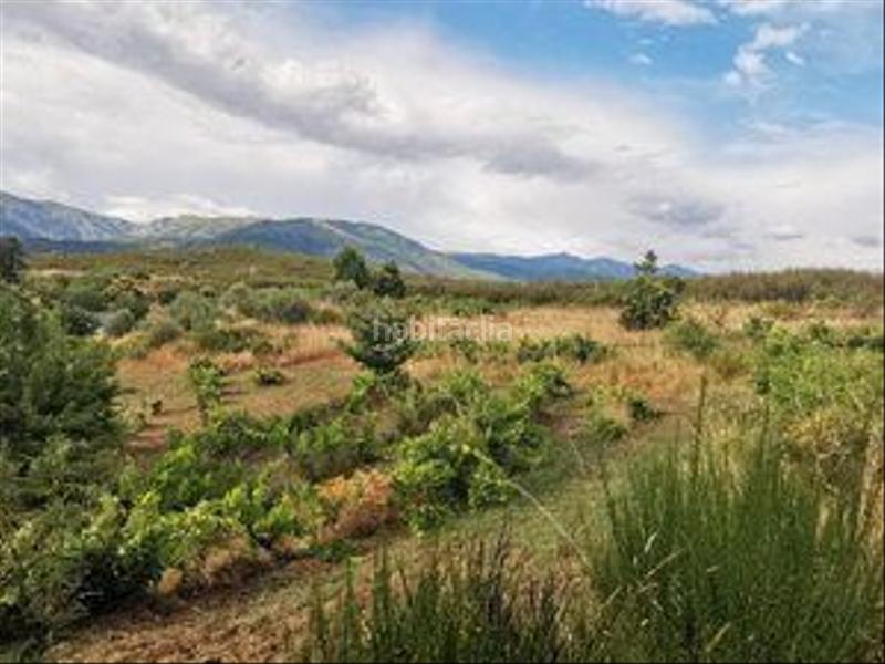 Foto 6d4ca549-f875-4e09-abd6-b09f4c3b0dd1. Rural plot in Jarandilla de la Vera